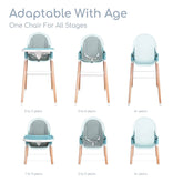 Children of Design 6 in 1 Deluxe High Chair w/cushion Children of Design 