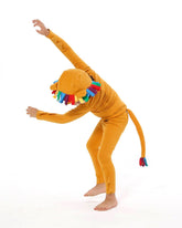 Rainbow Lion Costume Costumes Band of the Wild 