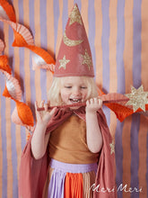 Pink Velvet Wizard Costume Costumes Meri Meri 
