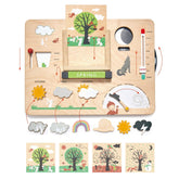 Weather Watch Wooden Toys Tender Leaf Toys 