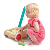 Baby Block Walker Push & Pull Tender Leaf Toys 