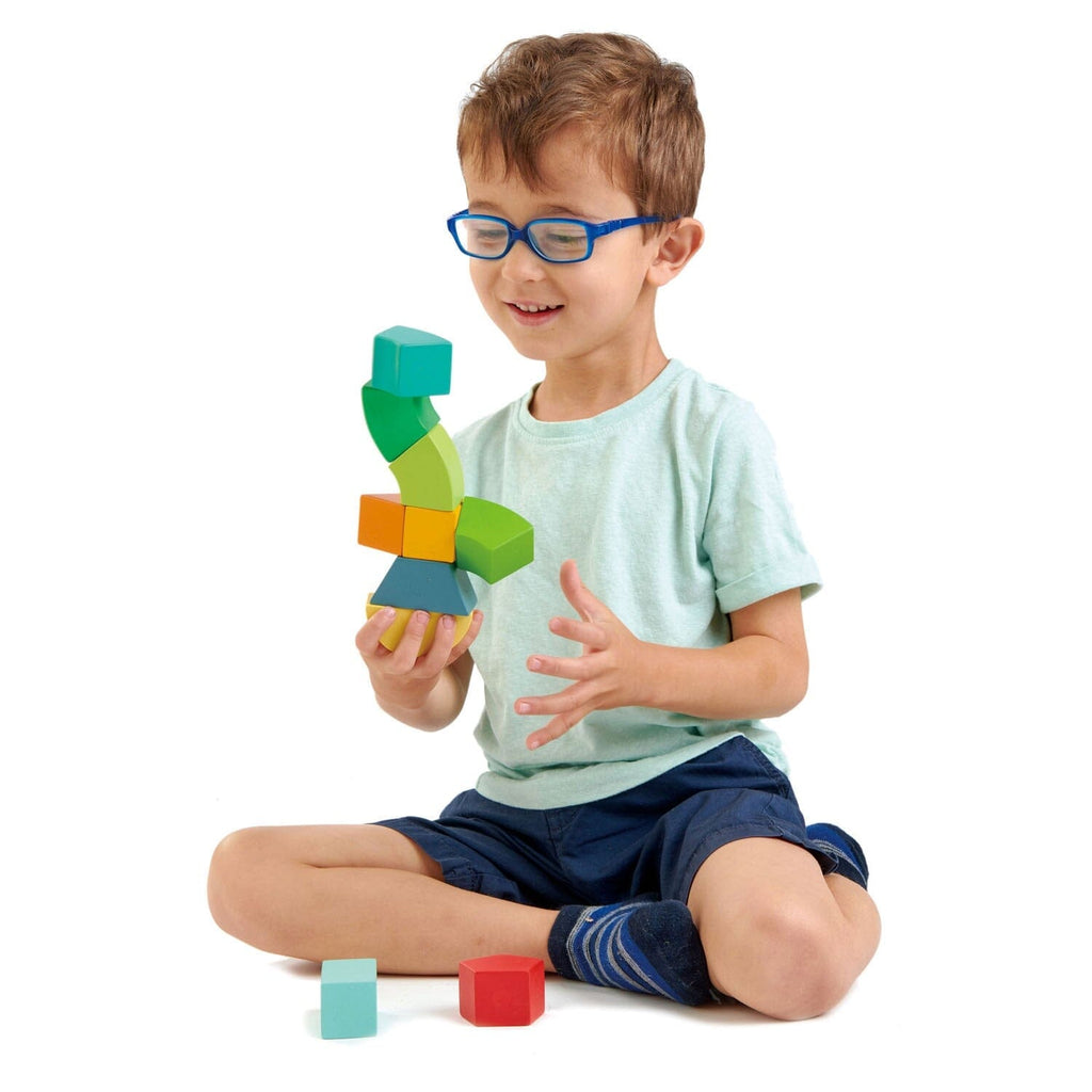 Primary Magblocs Wooden Blocks Tender Leaf Toys 