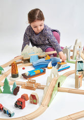 Mountain View Train set Cars & Trains Tender Leaf Toys 