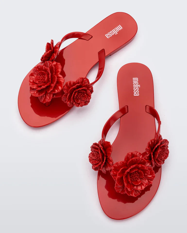 Harmonic Springtime | Red Shoes Mini Melissa 