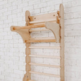 Gym Addition to the Climbing Ladders Ladder Accessories Goodevas 