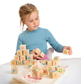Learning Bundle Wooden Toys Mentari 