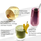 Organic Plant Protein + Superfood Smoothie Mix (Sample Box) by TUSOL Wellness TUSOL Wellness 