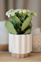 Shiraleah Loma Planter Vase, White by Shiraleah Shiraleah 