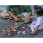 Lower Case Alphabet Wooden Toys PlanToys USA 