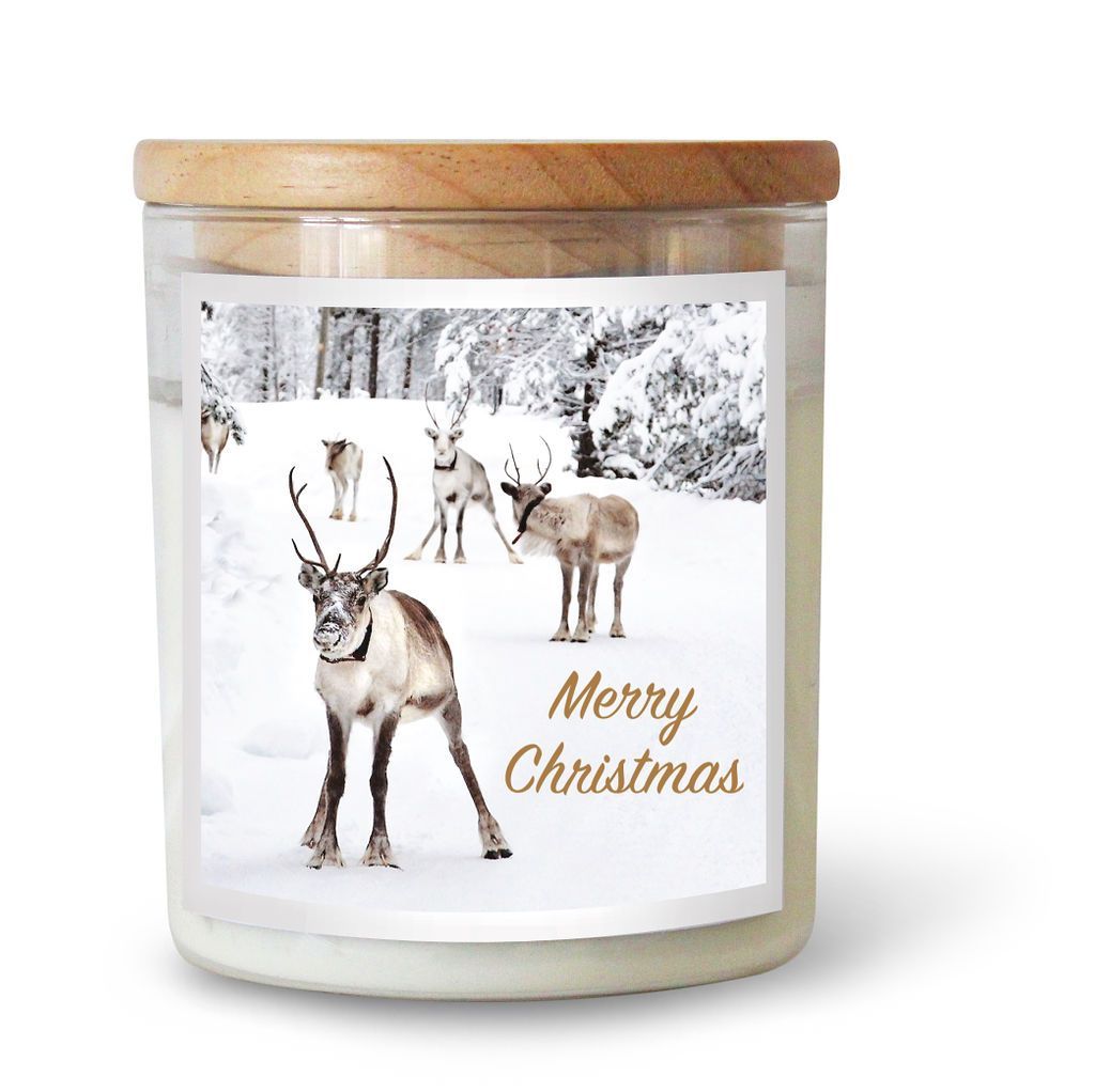 Reindeer Candle - Big Sur | The Commonfolk Collective - Scented Candle