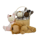 Cozy Dinkum Lion Pip | Olli Ella - Children's Toys - Spring
