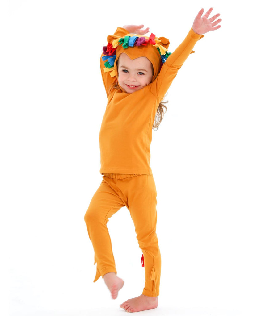 Rainbow Lion Costume Costumes Band of the Wild Hat + Tail 2/3T 